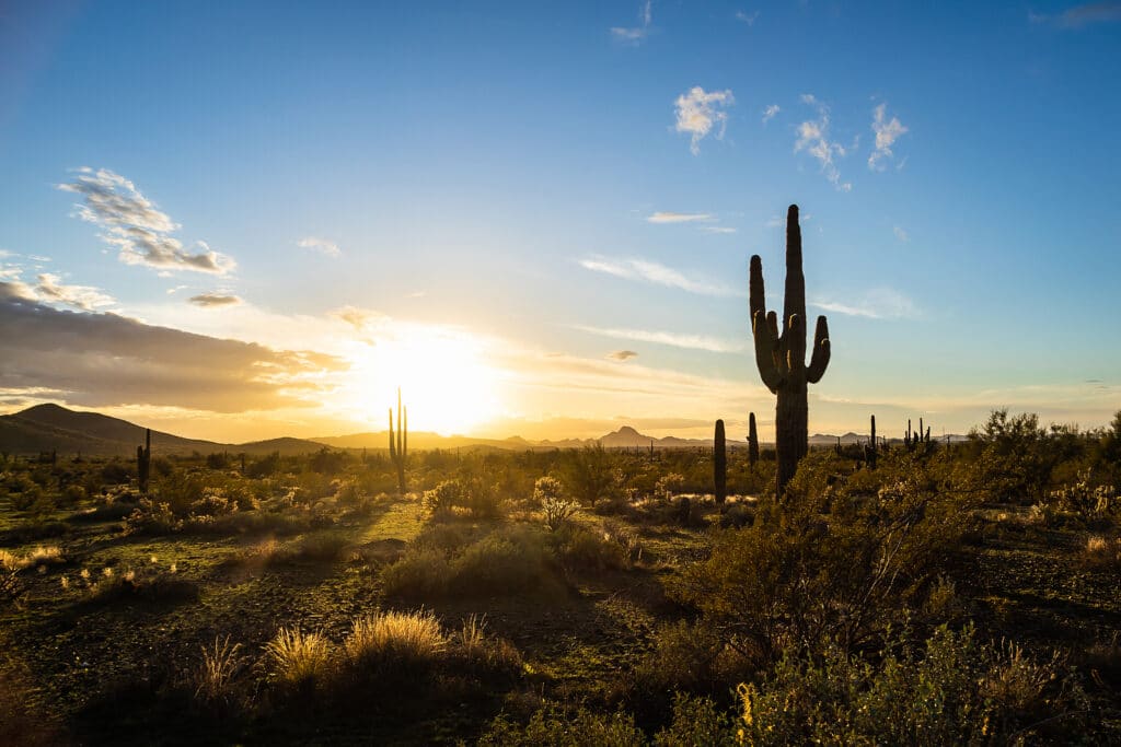 Apollo Destinations The Splendors Of Arizona's Colorful Desert 4