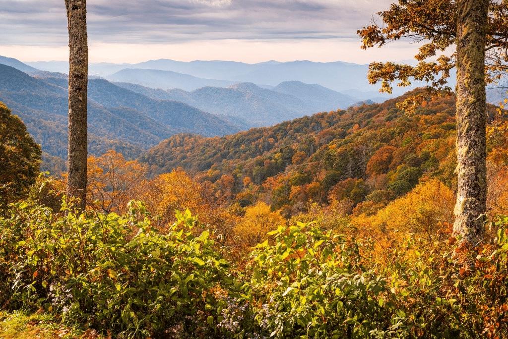 Gatlinburg, Tennessee Top Sites Review by Apollo Destinations (4)