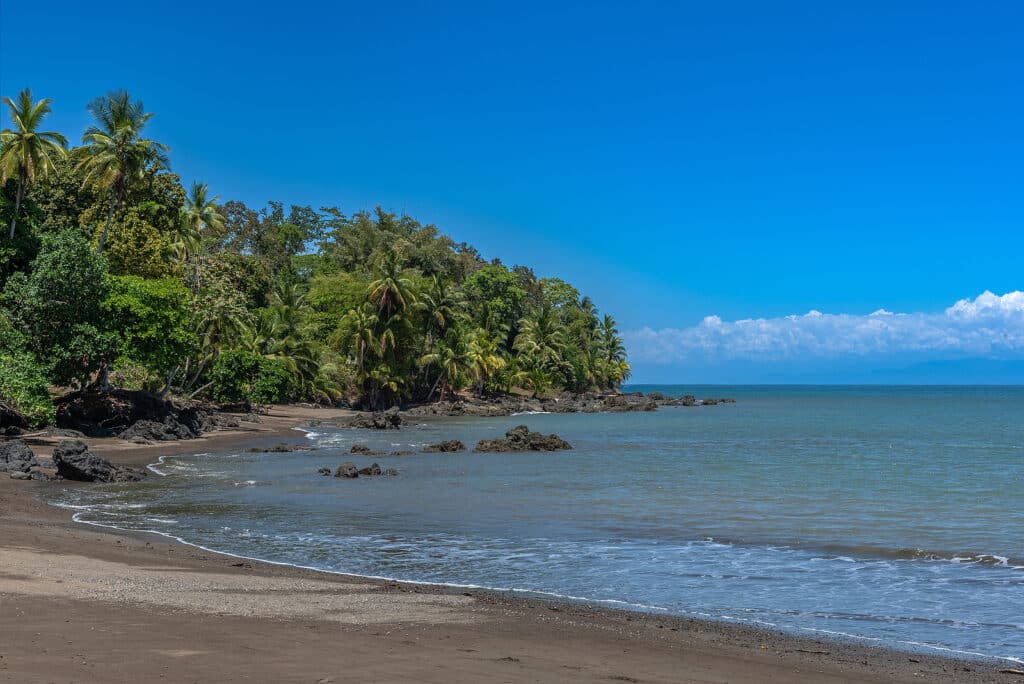 Apollo Destinations Best Marine Tours To Enjoy In Costa Rica 3